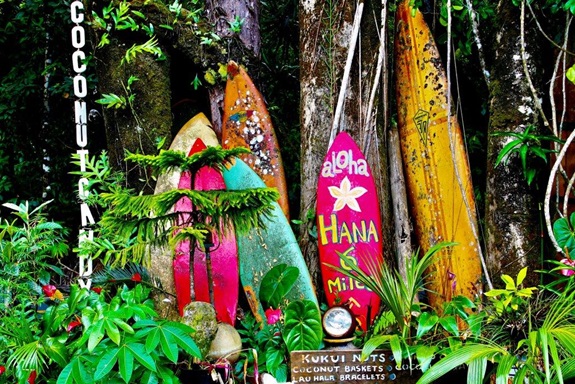 Road to Hana | Travelhome Campervakanties